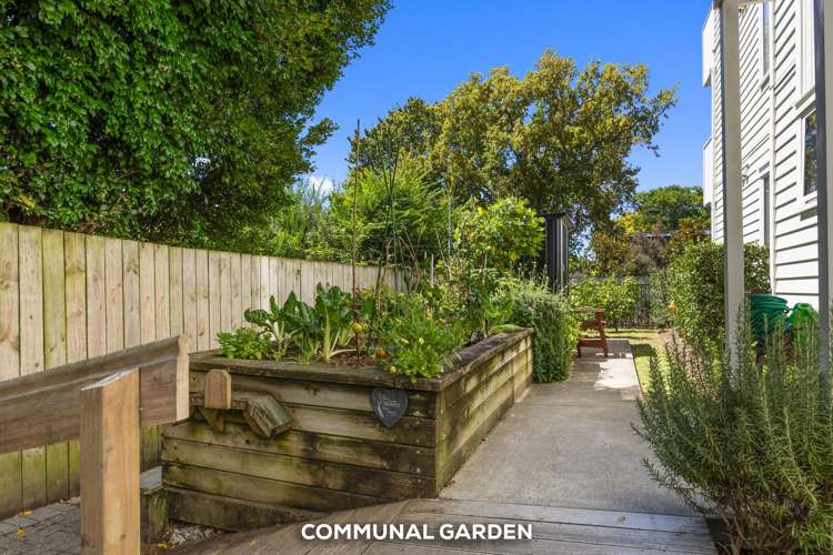 G10/21B Swanson Road Henderson_2