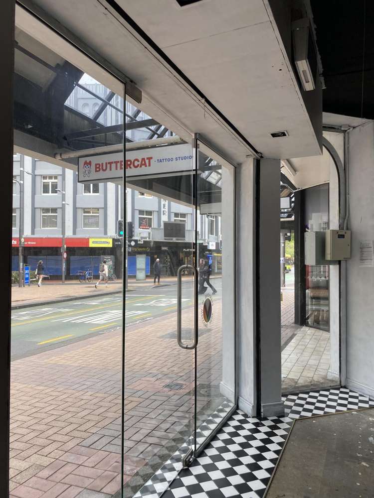 1.4/94 Manners Street Te Aro_13