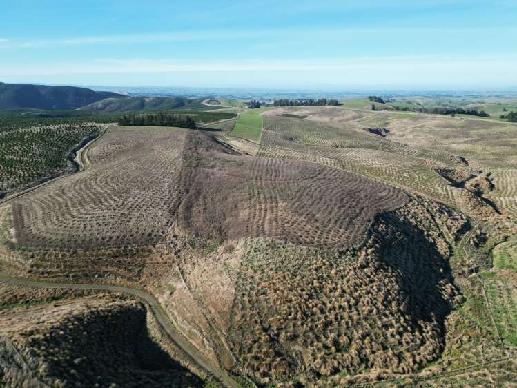 Lot 2/339 Rankleburn Road Rankleburn_12