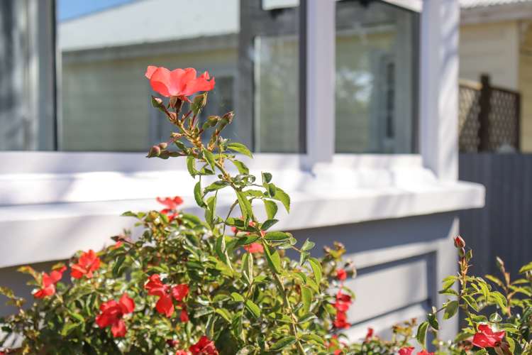 21 Victoria Street Levin_13