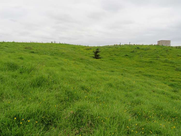 289 Franklin Road Paparoa_29