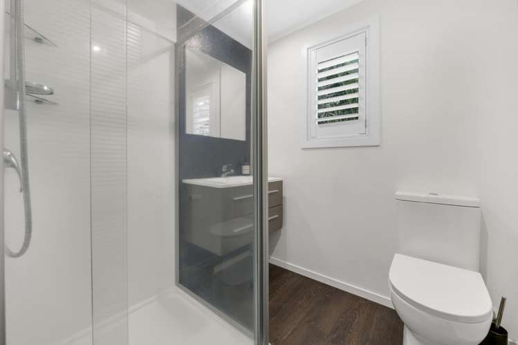 10 Avon Street Parnell_15