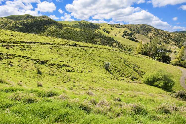 61 Waikawau Valley Road Kereta_5