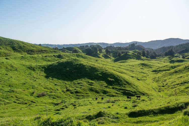 2261 Te Kopia Road Reporoa and Surrounds_15