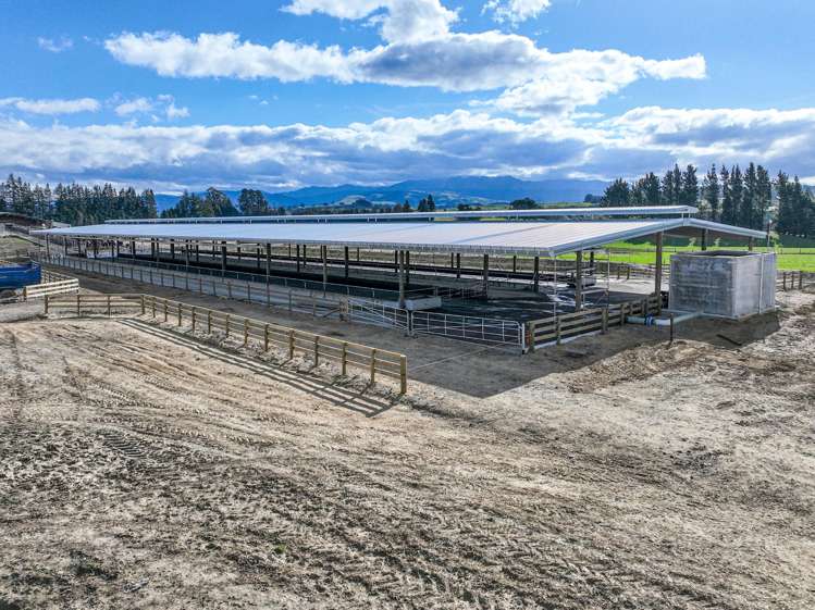 3986 Puketitiri Road Patoka_16