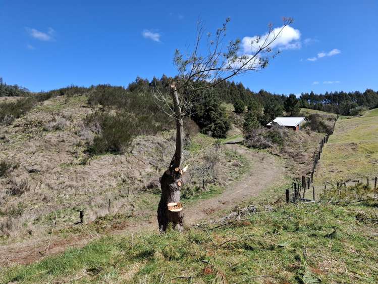 27 Otake Road Marotiri_25