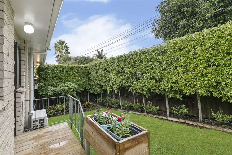 810 Dominion Road Mount Eden_14