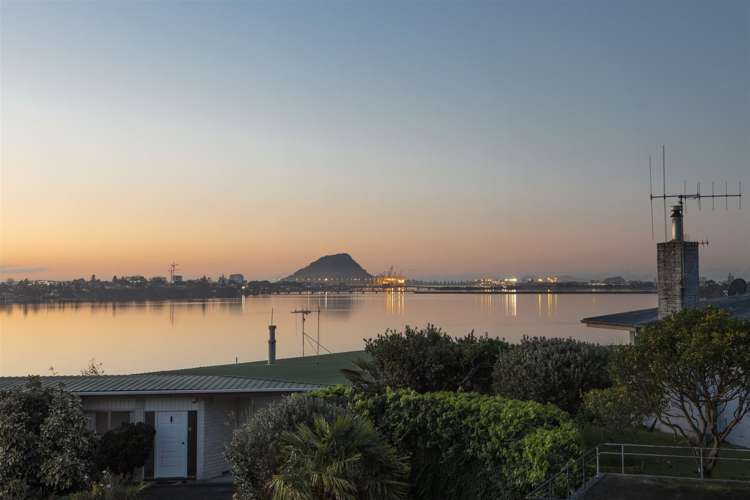 39 Vine Avenue Maungatapu_10