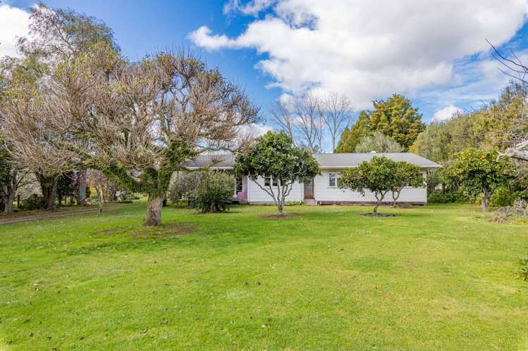 31 Riddell Road Kerikeri_9