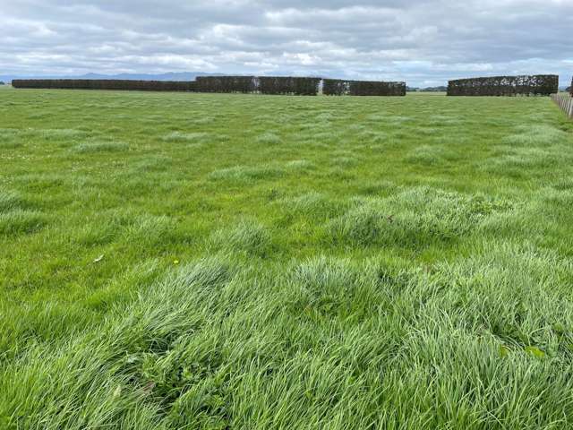 150 Spur Road West Colyton_2