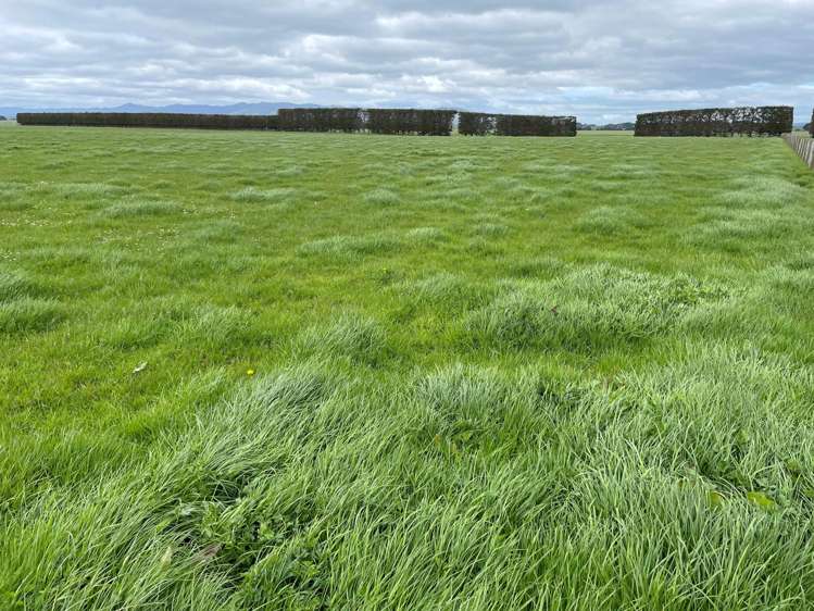 150 Spur Road West Colyton_2