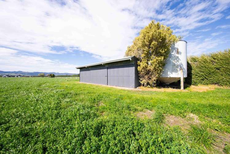 955 Springs Road Prebbleton_8