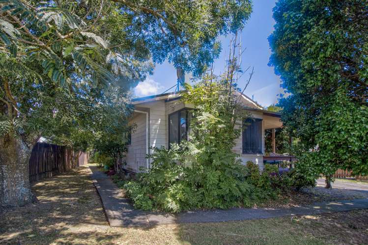231 Finlayson Avenue Clendon Park_10