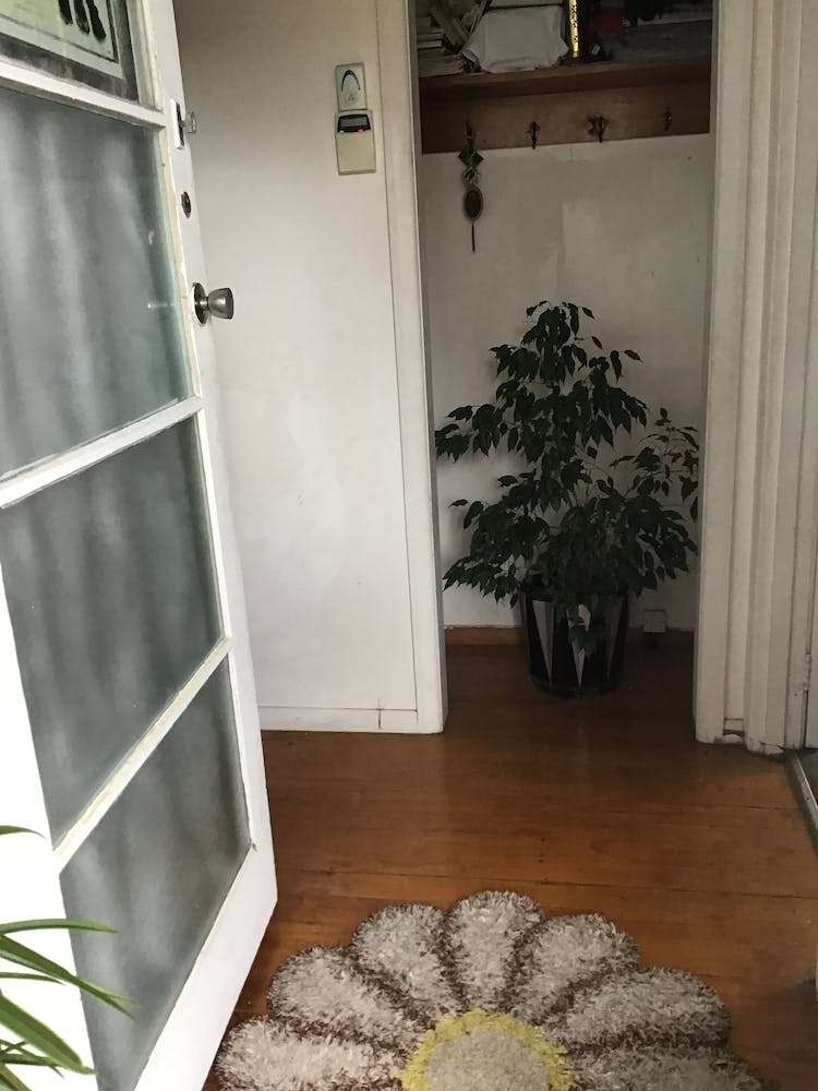 29a Rosebank Road Papatoetoe_2