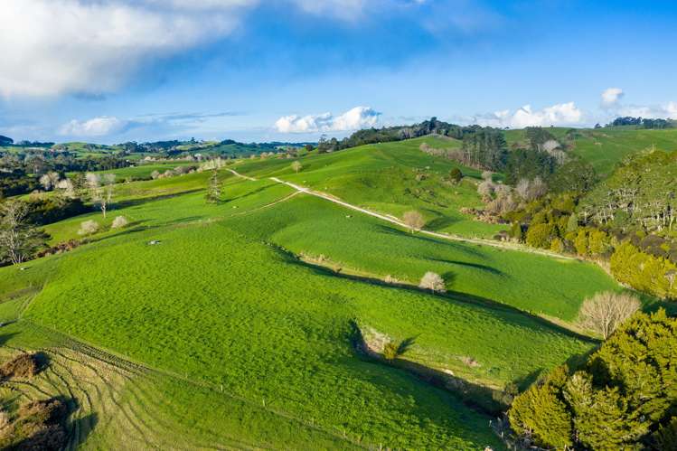 400 Partridge Road Wellsford_14