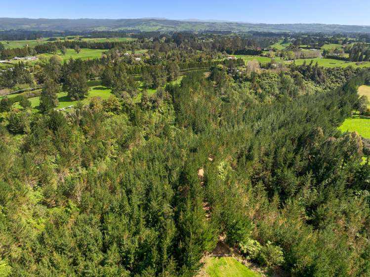 2 Sarona Park Drive Omanawa_11