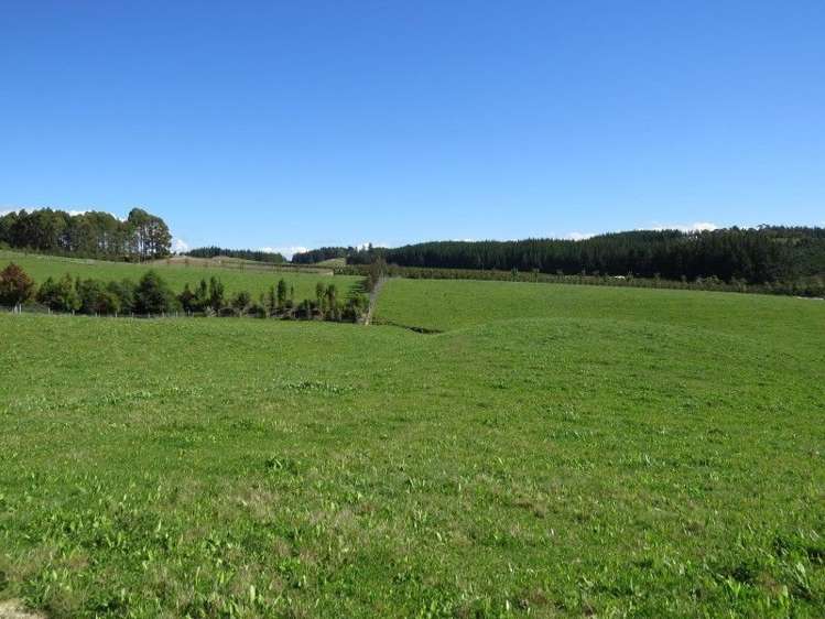 35 Nile Road Mahana_16