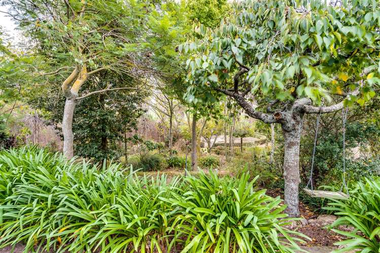 246 Moteo Pa Road Puketapu_16