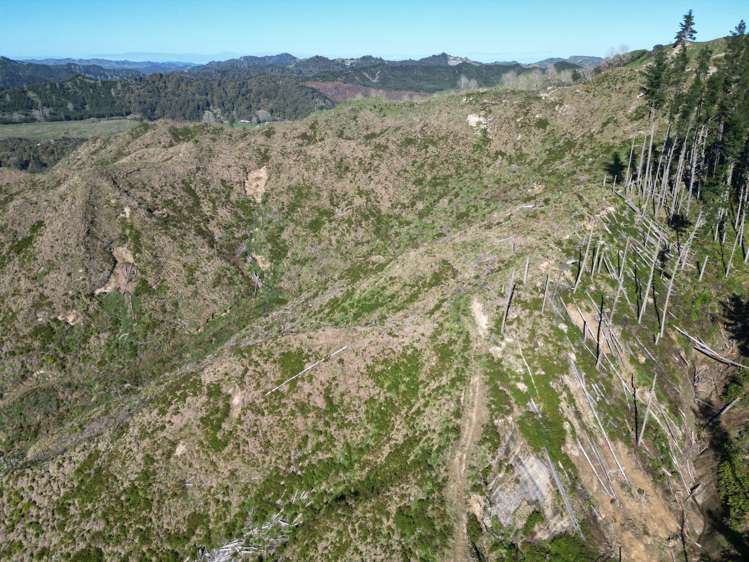 Cnr Whanganui River Road and Otunui South Road Taumarunui_16