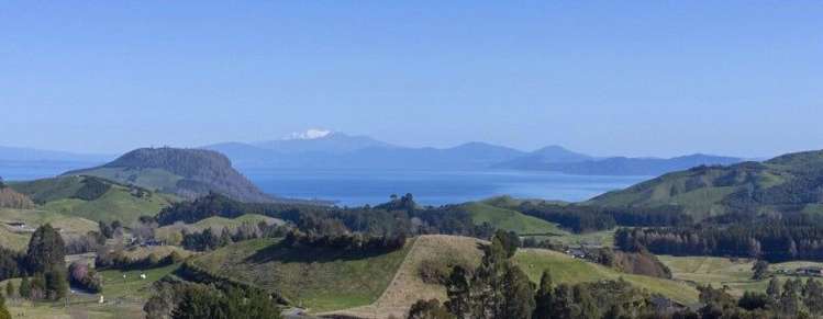 1040 Mapara Road (Proposed Lot 1) Kinloch_8