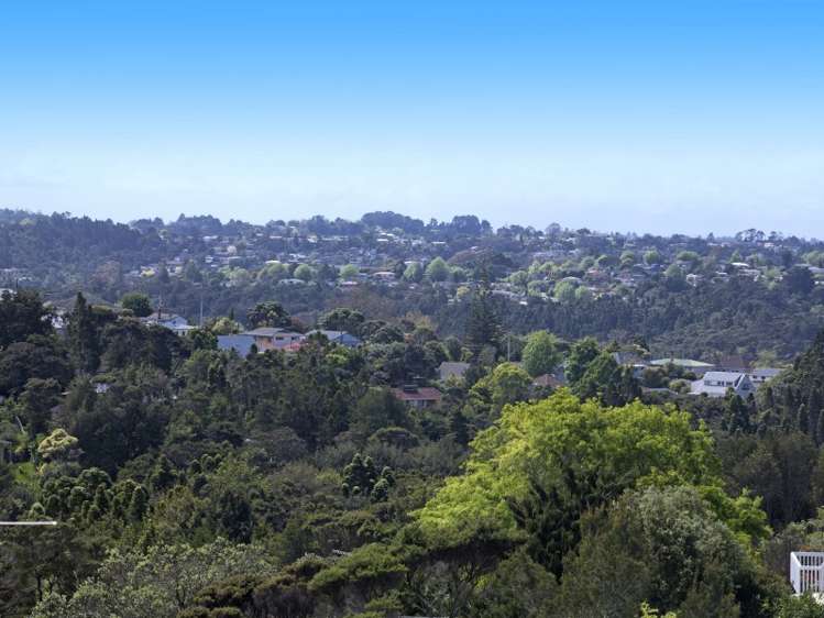 1/169 Mokoia Road Birkenhead_15