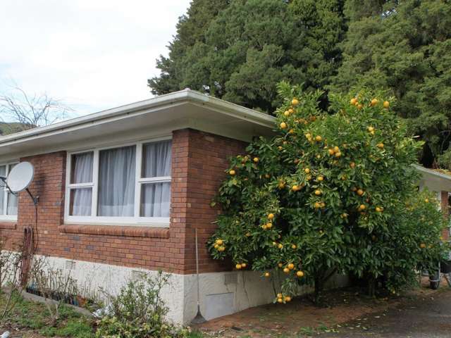 3927 State Highway 43 Ruapehu-King Country Surrounds_1