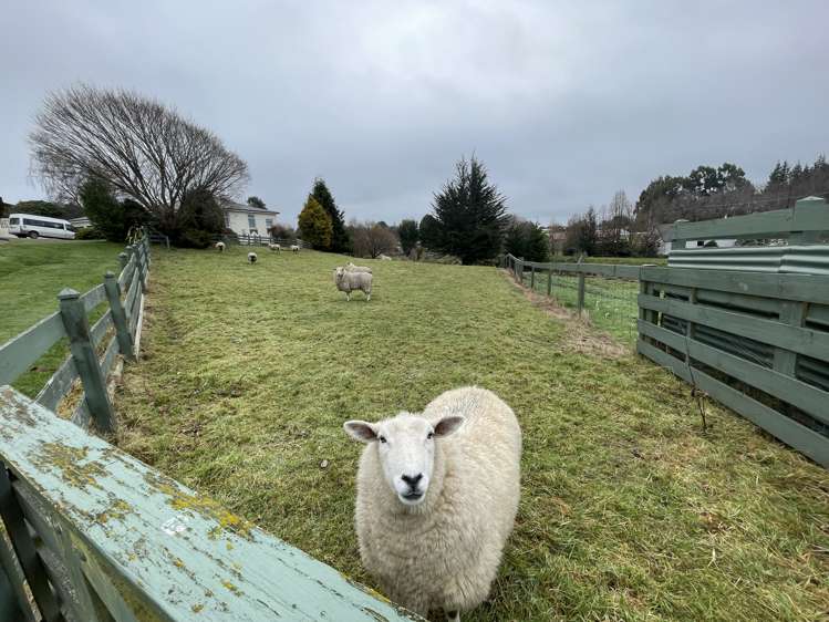 8 Hughies Lane Otautau_11