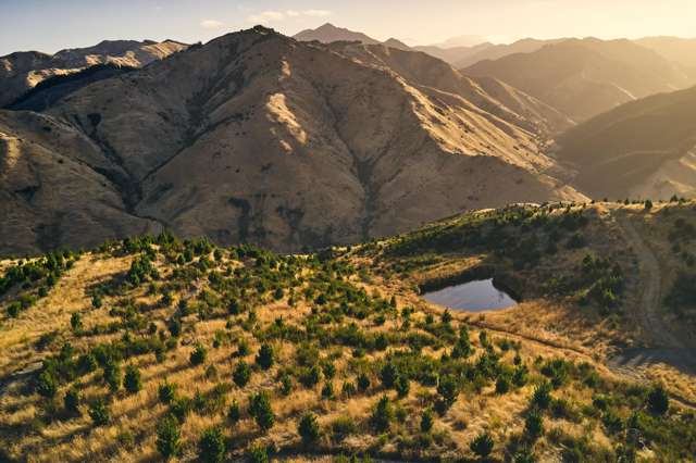 1067 Taylor Pass Road Blenheim_1