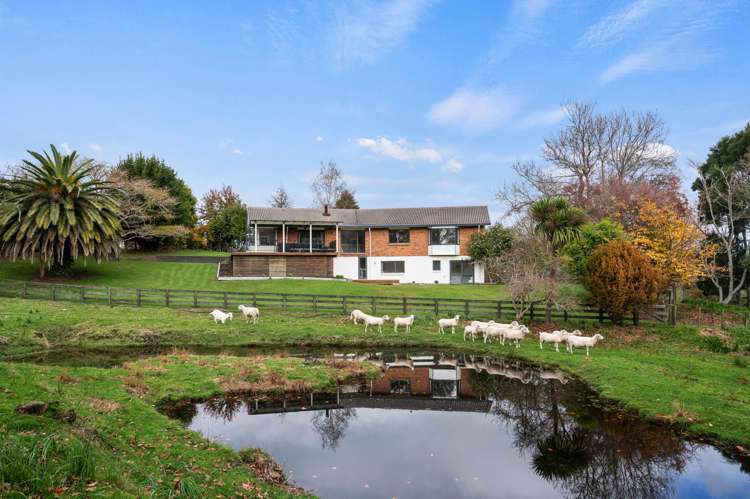 45 Brunswick Drive Tikitere_50