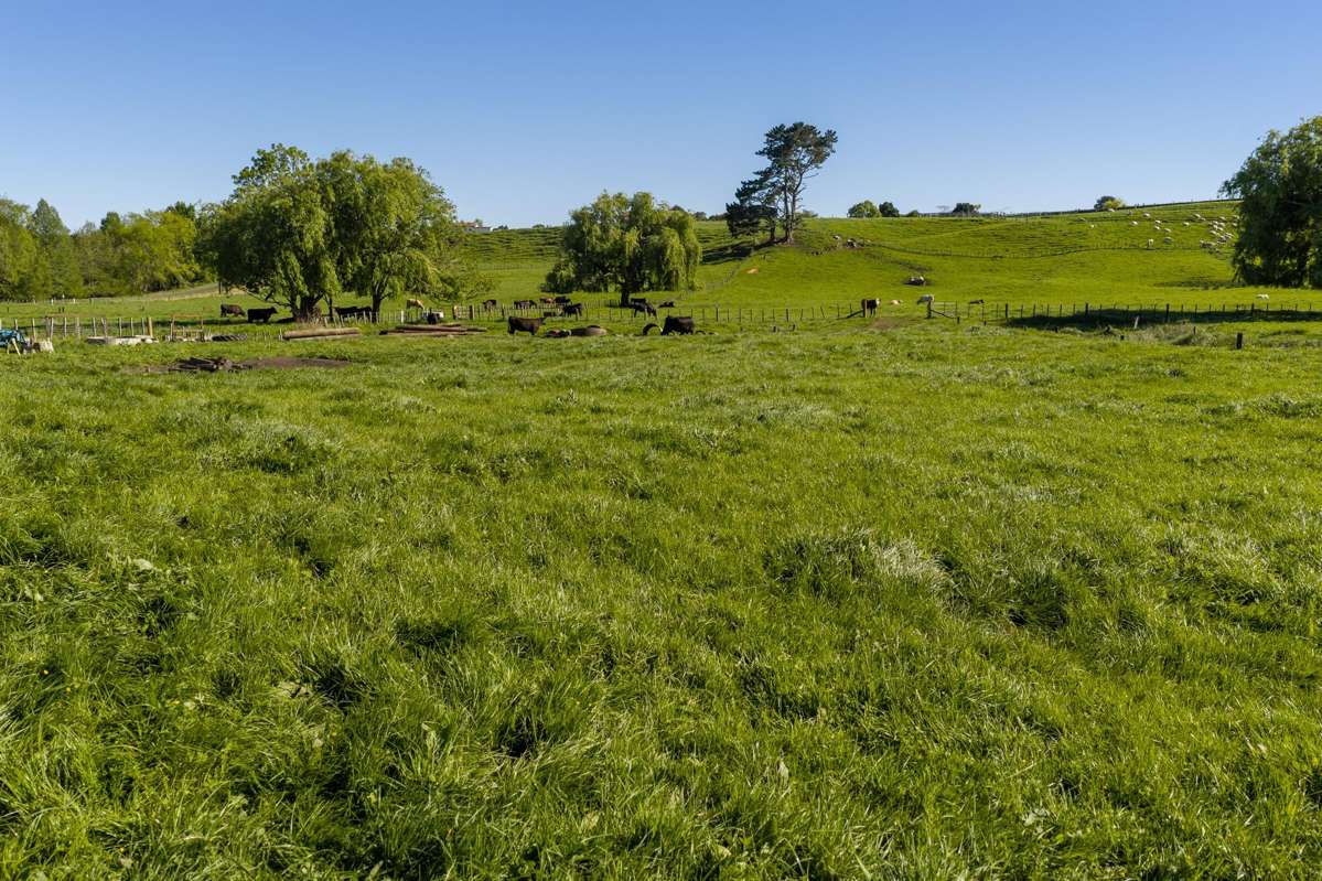 Lot Lot 2/287 Howden Road_3
