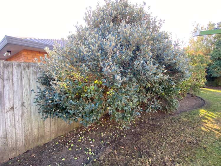 64 Lancewood Drive Halswell_9
