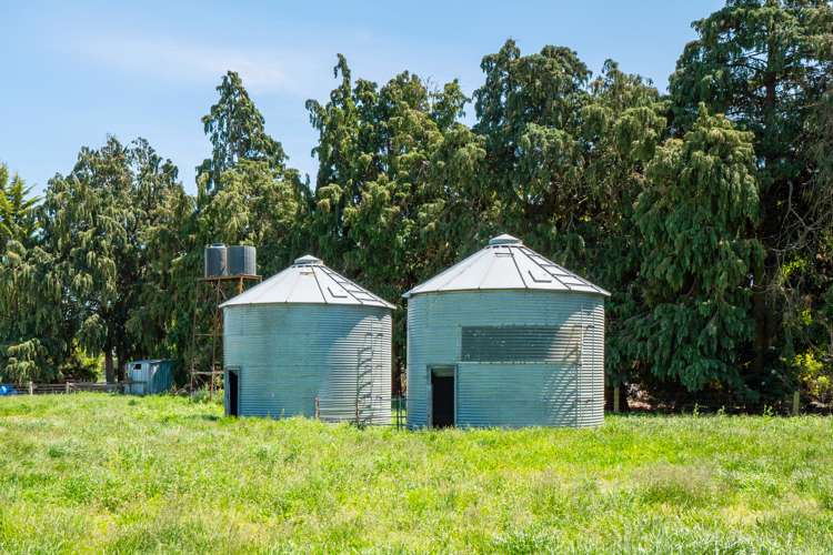 102 Anama Station Road Mayfield_19