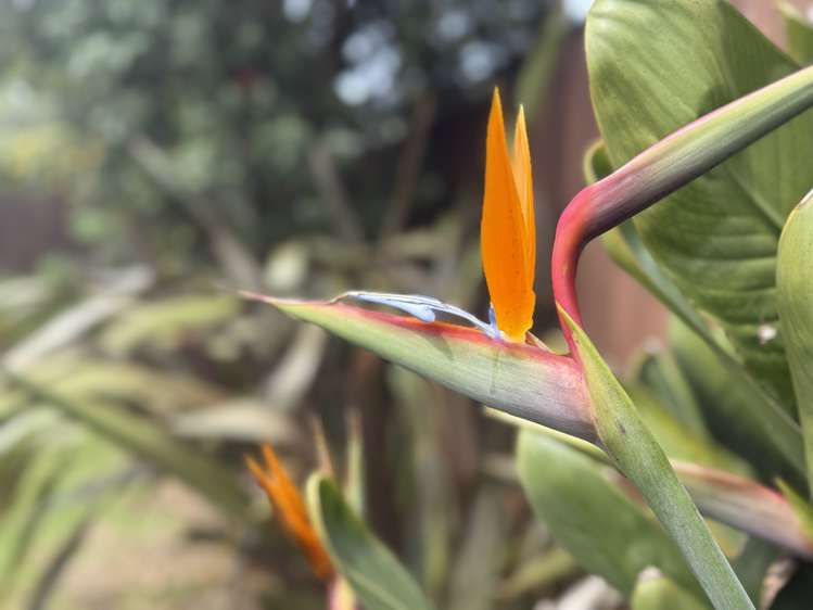 8 The Avenue Otaki Beach_19