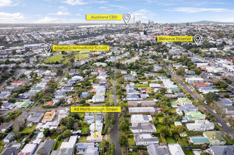 43 Marlborough Street Mount Eden_16