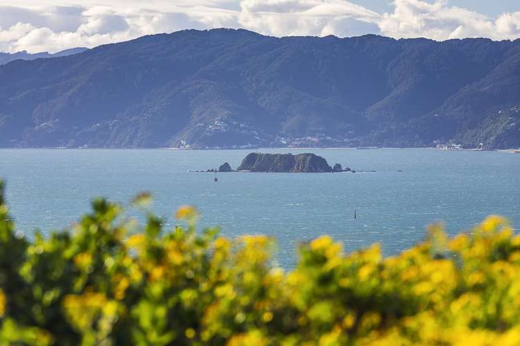 124 Seatoun Heights Road Seatoun_3