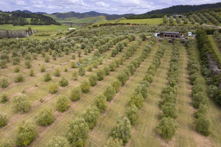 87 Leccino Valley Road Mangonui_41