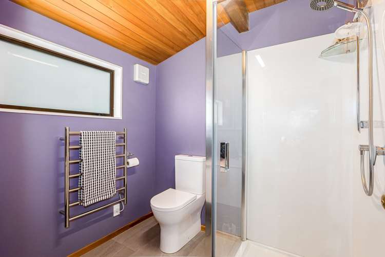 55 Amapur Drive Khandallah_12