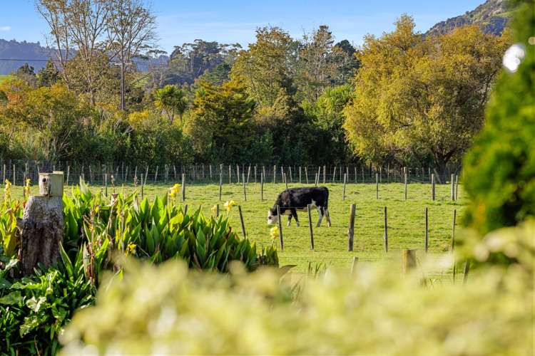 11 Guy Road Kaipara Flats_30