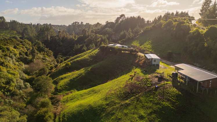 666 Maungarangi Road Paengaroa_23