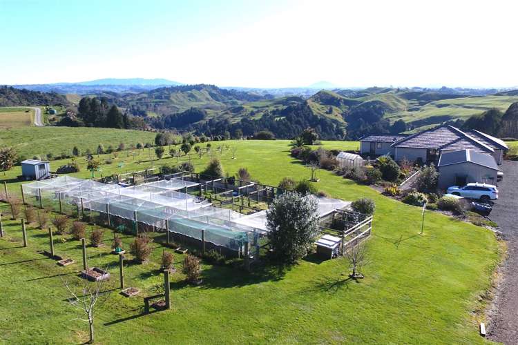 210c Mangarino Road Te Kuiti_28