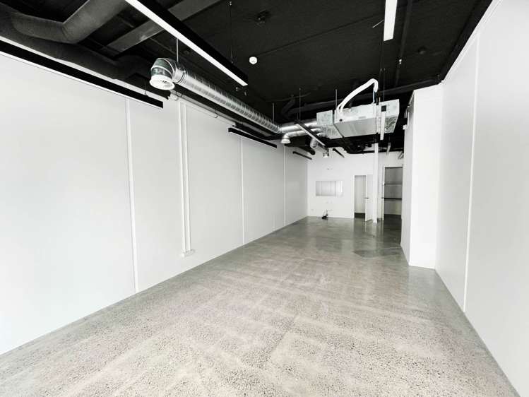 Unit 2/12 Vinegar Lane Grey Lynn_3