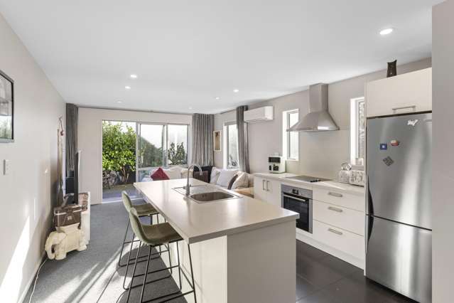 71 Essex Street Christchurch Central_1