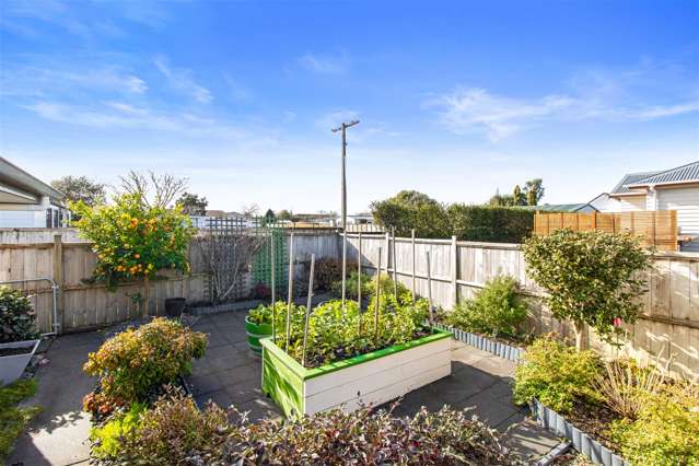 21b Snell Street Morrinsville_4