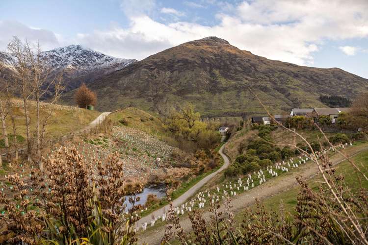 17 Lorne Street Dalefield/Wakatipu Basin_12