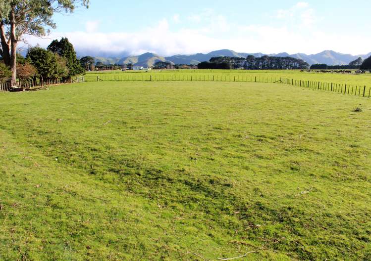 346 Umutaoroa Road Dannevirke_8