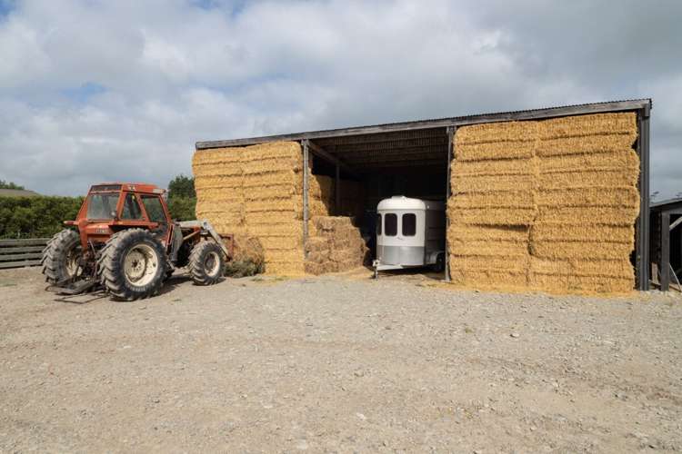 19 Gills Road Hinds_11