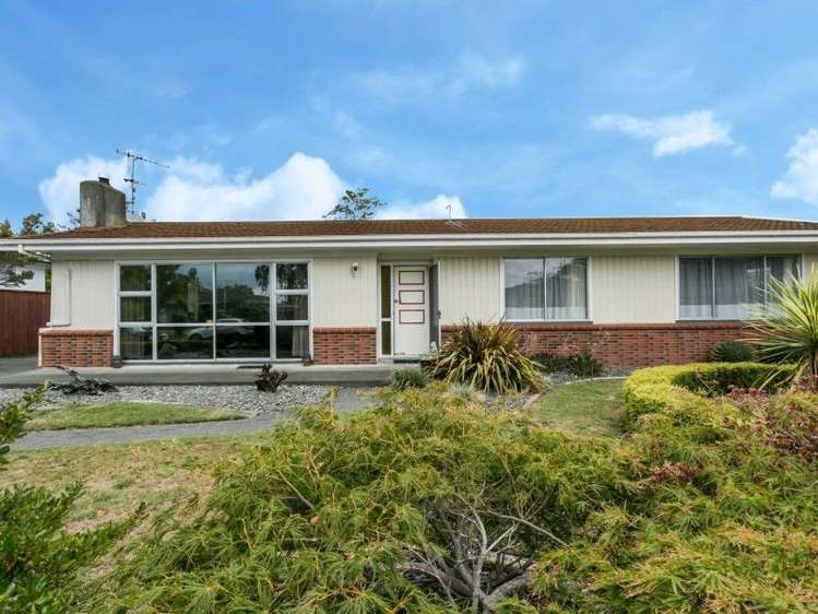 50 Rochester Street Tamatea_16