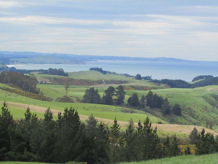 Horse Range Road Palmerston_14