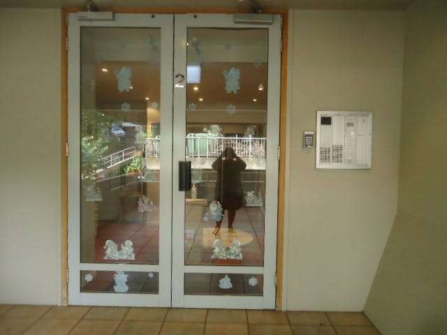 7c/2 Whitaker Place Grafton_4