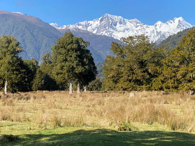 Large Bareland Block in Fox Glacier